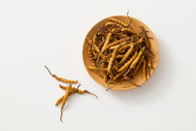 Cordyceps - lädt verlorene Energie wieder auf